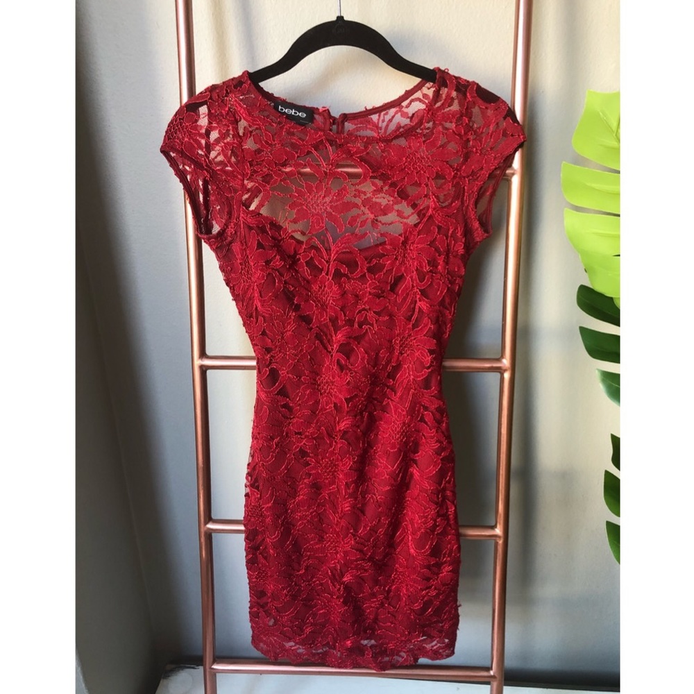 BEBE Elegant lace Mini Dress with back detail